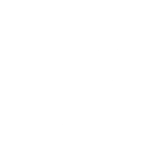 Lavie
